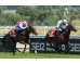  Carrera: P.Teresa Monta: V.Janacek Caballo: Making Time